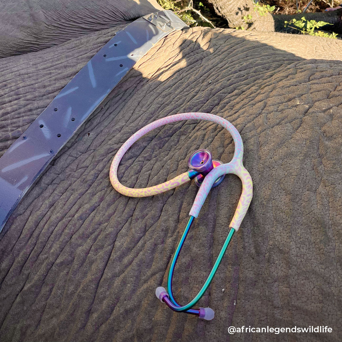 Stethoscope MDF Instruments ProCardial Titanium Mprint Rainbow Leopard and Kaleidoscope