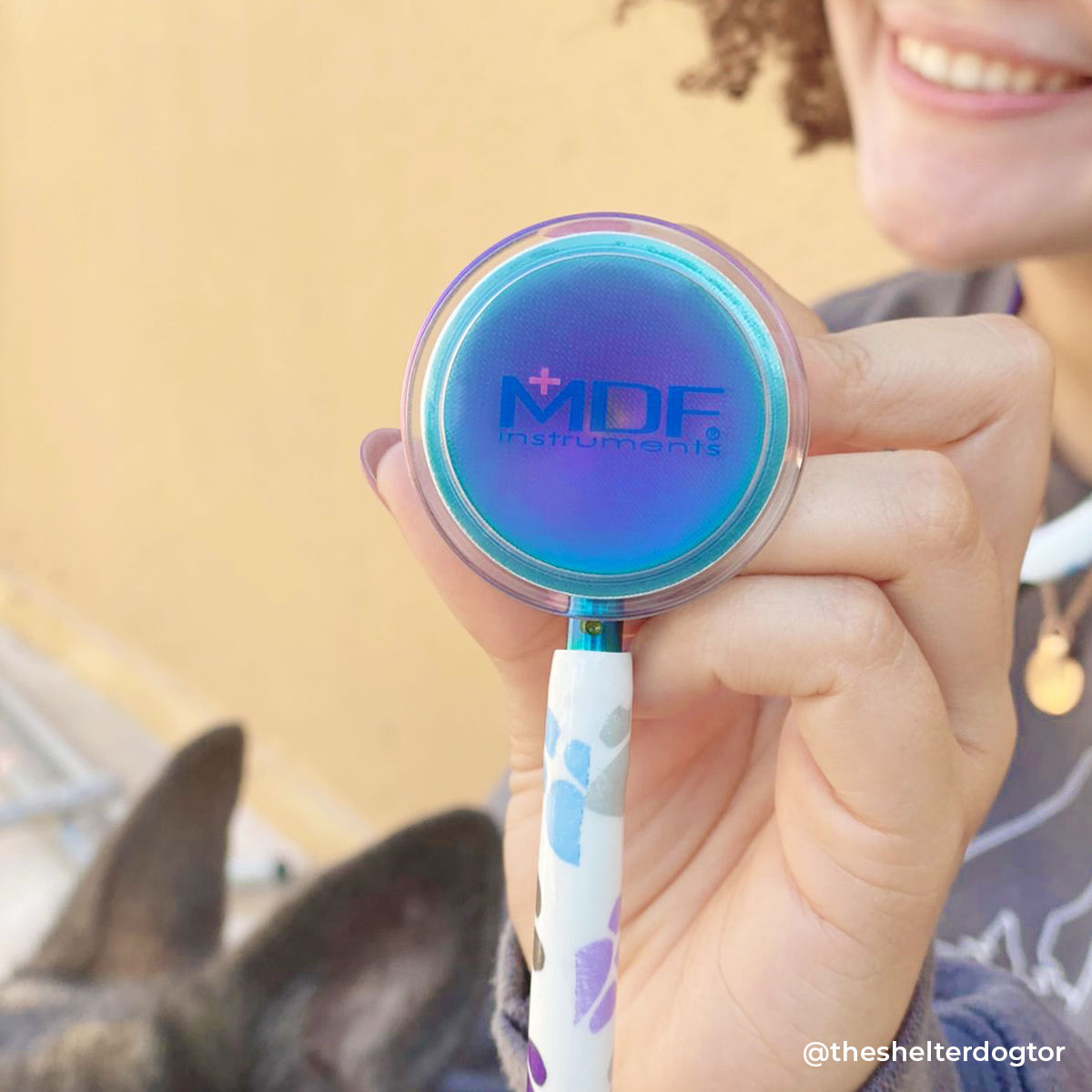 Stethoscope MDF Instruments MD One Epoch Paw Print and Kaleidoscope