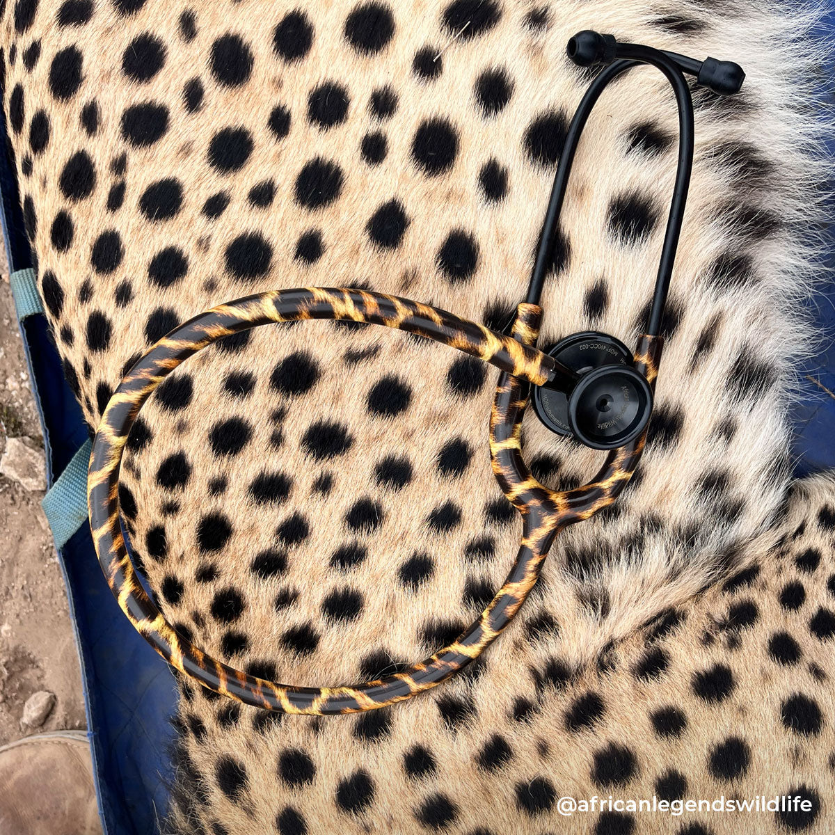 Leopard Print Stethoscope for Medical Professionals MDF Instruments ProCardial Titanium Cardiology Mprint Cheetah and BlackOut